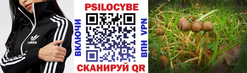 Псилоцибиновые грибы прущие грибы площадка клад Вичуга