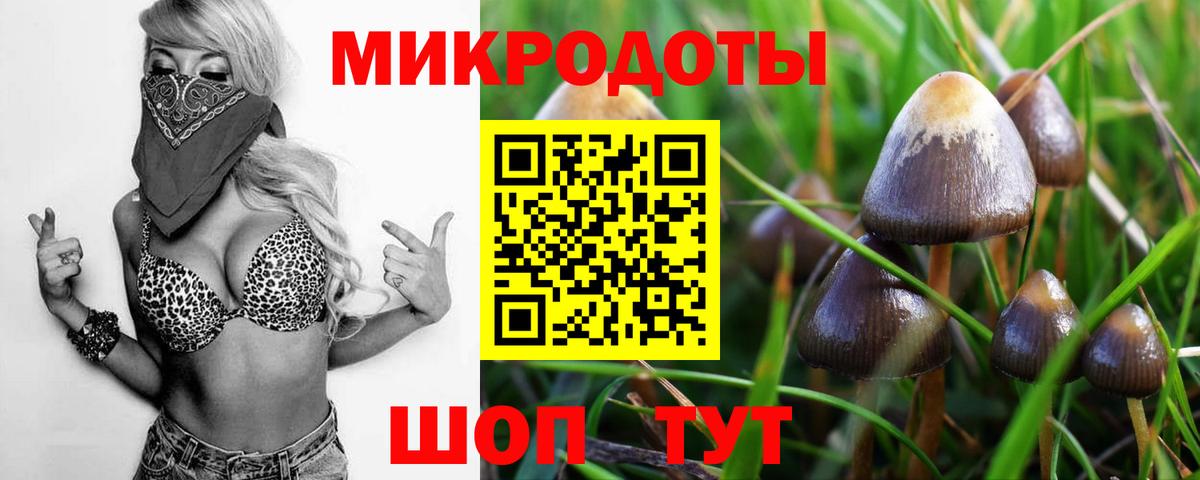 Вичуга  Псилоцибиновые грибы Psilocybe  Галлюциногенные грибы MAGIC MUSHROOMS  Вход с VPN 