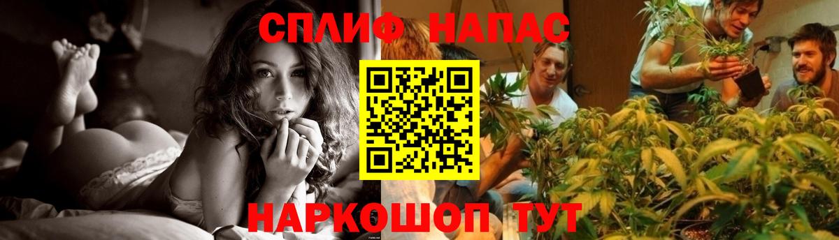 Бошки марихуана AK-47  МАРИХУАНА план  Вичуга 