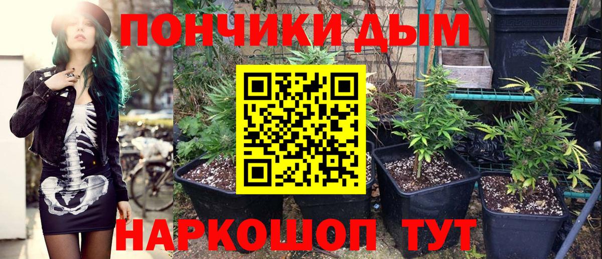 Конопля план  Канабис AK-47  Вичуга  Вход с VPN  Каннабис THC 21% 